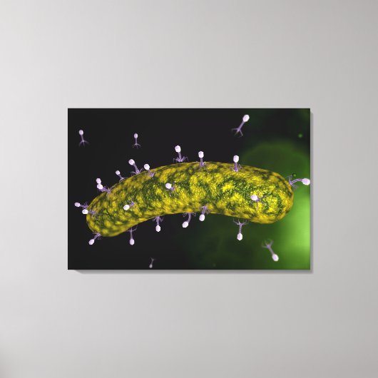Microscopisch Uitzicht van bacteriofaag Canvas Afdruk (Voorkant)