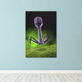 Microscopisch Uitzicht van bacteriofaag Canvas Afdruk (Insitu (Houten vloer))