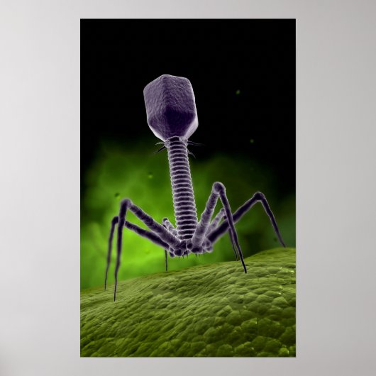 Microscopisch Uitzicht van bacteriofaag Poster (Voorkant)