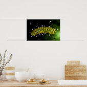 Microscopisch Uitzicht van bacteriofaag Poster (Keuken)