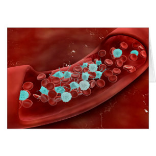 Microscopisch Uitzicht van bloeduitzetting