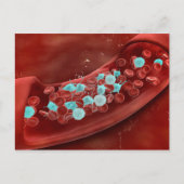 Microscopisch Uitzicht van bloeduitzetting Briefkaart (Voorkant)