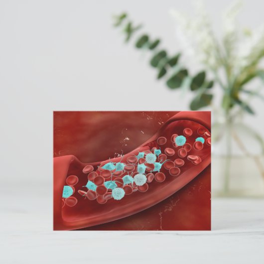 Microscopisch Uitzicht van bloeduitzetting Briefkaart (Staand voorkant)