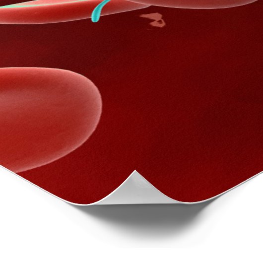 Microscopisch Uitzicht van bloeduitzetting Poster (Hoek)