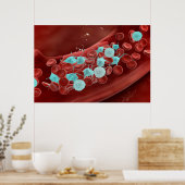 Microscopisch Uitzicht van bloeduitzetting Poster (Keuken)