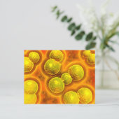 Microscopisch Uitzicht van Chlamydia Briefkaart (Staand voorkant)