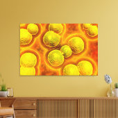 Microscopisch Uitzicht van Chlamydia Canvas Afdruk (Insitu (Woonkamer))
