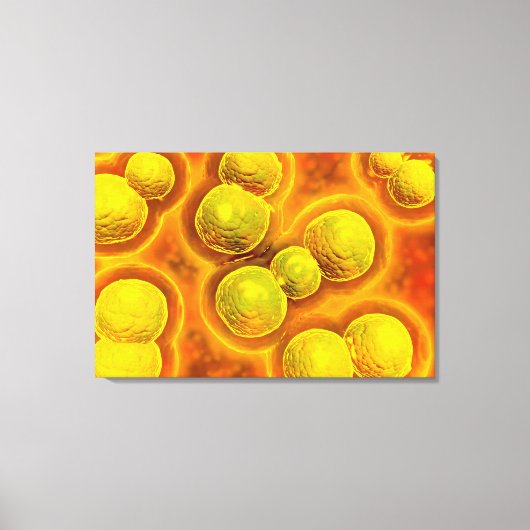 Microscopisch Uitzicht van Chlamydia Canvas Afdruk (Voorkant)