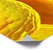 Microscopisch Uitzicht van Chlamydia Poster (Hoek)