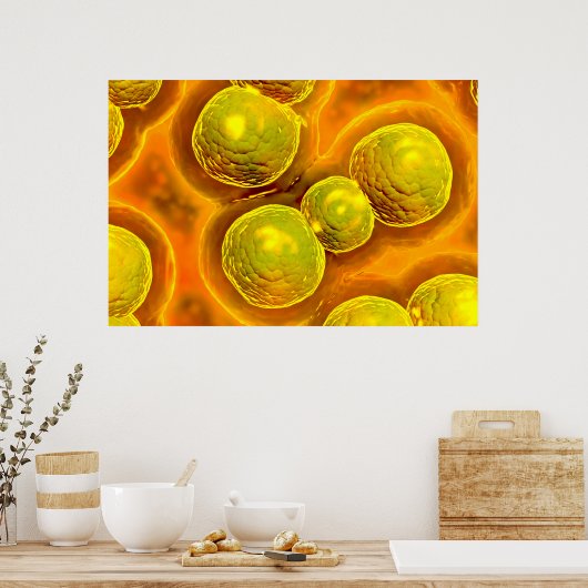 Microscopisch Uitzicht van Chlamydia Poster (Keuken)