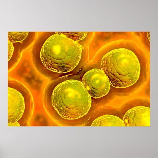 Microscopisch Uitzicht van Chlamydia Poster (Voorkant)