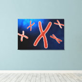 Microscopisch Uitzicht van chromosoom 1 Canvas Afdruk (Insitu (Houten vloer))