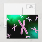 Microscopisch Uitzicht van chromosoom 2 Briefkaart (Voorkant / Achterkant)