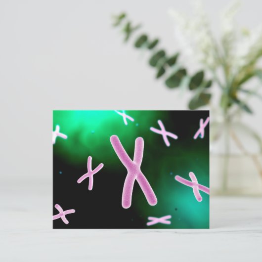 Microscopisch Uitzicht van chromosoom 2 Briefkaart (Staand voorkant)