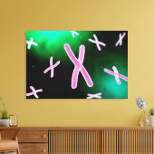 Microscopisch Uitzicht van chromosoom 2 Canvas Afdruk (Insitu (Woonkamer))