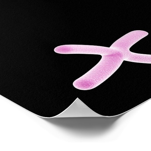 Microscopisch Uitzicht van chromosoom 2 Poster (Hoek)