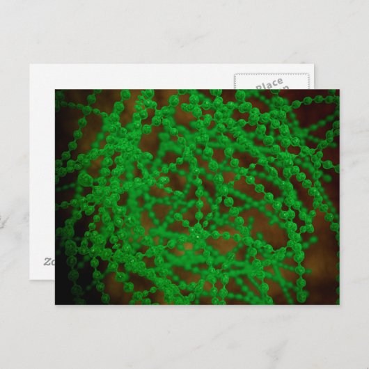 Microscopisch Uitzicht van Cocci Bacterium Briefkaart (Voorkant / Achterkant)