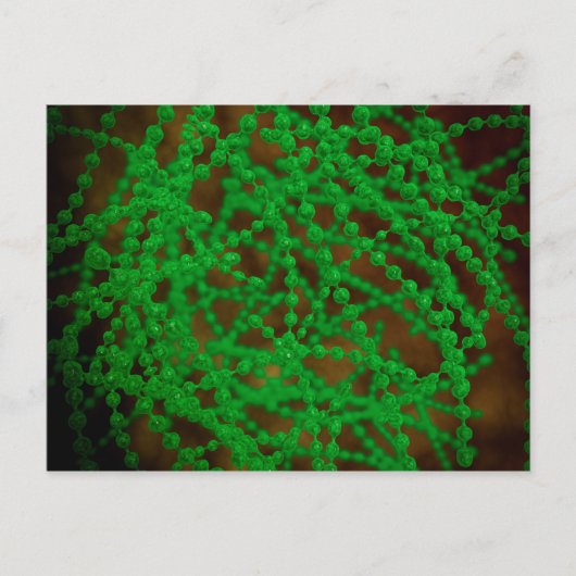 Microscopisch Uitzicht van Cocci Bacterium Briefkaart (Voorkant)