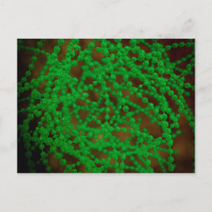 Microscopisch Uitzicht van Cocci Bacterium Briefkaart