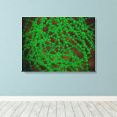 Microscopisch Uitzicht van Cocci Bacterium Canvas Afdruk (Insitu (Houten vloer))