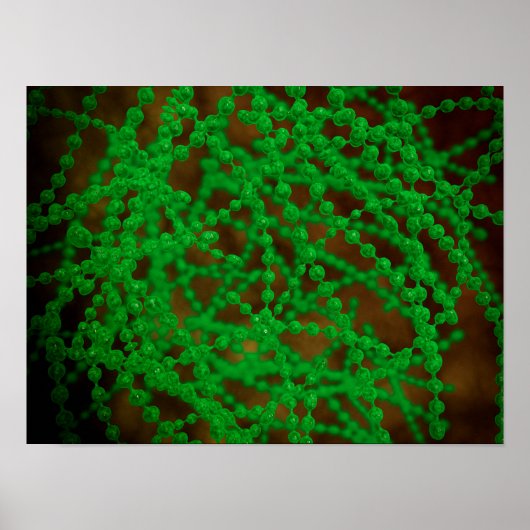 Microscopisch Uitzicht van Cocci Bacterium Poster (Voorkant)