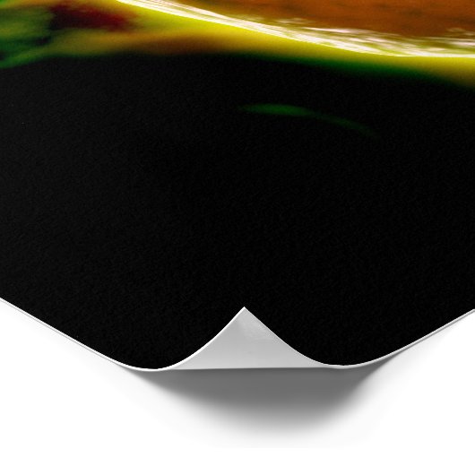 Microscopisch Uitzicht van de B-cellen 2 van de me Poster (Hoek)