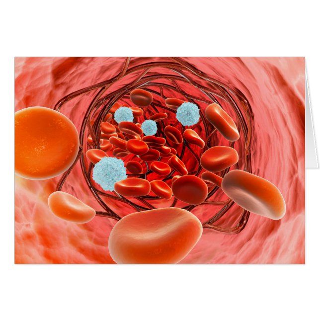 Microscopisch Uitzicht van de bloedstroom in een s (Voorkant Horizontaal)