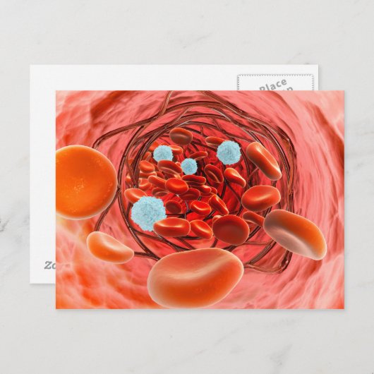 Microscopisch Uitzicht van de bloedstroom in een s Briefkaart (Voorkant / Achterkant)