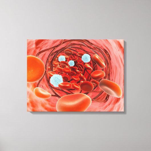 Microscopisch Uitzicht van de bloedstroom in een s Canvas Afdruk (Voorkant)