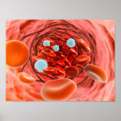 Microscopisch Uitzicht van de bloedstroom in een s Poster (Voorkant)