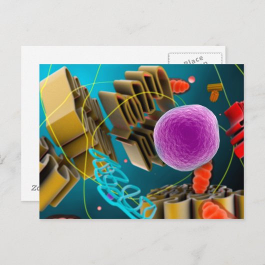 Microscopisch Uitzicht van de Dierlijke Kern van Briefkaart (Voorkant / Achterkant)