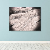 Microscopisch Uitzicht van de korncobformatie Canvas Afdruk (Insitu (Houten vloer))