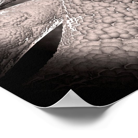 Microscopisch Uitzicht van de korncobformatie Poster (Hoek)