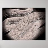 Microscopisch Uitzicht van de korncobformatie Poster (Voorkant)