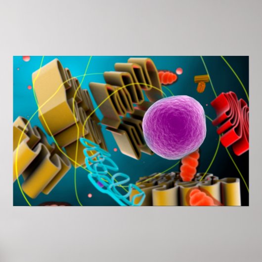 Microscopisch Uitzicht van dierlijke celkern Poster (Voorkant)