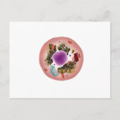 Microscopisch Uitzicht van dierlijke cellen 1 Briefkaart (Voorkant)