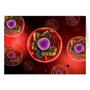 Microscopisch Uitzicht van dierlijke cellen 2
