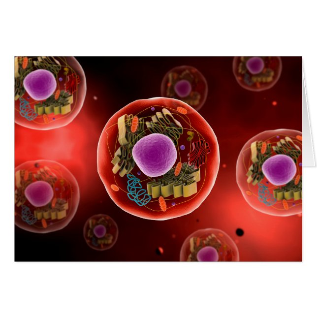Microscopisch Uitzicht van dierlijke cellen 2 (Voorkant Horizontaal)