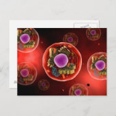 Microscopisch Uitzicht van dierlijke cellen 2 Briefkaart (Voorkant / Achterkant)