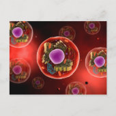 Microscopisch Uitzicht van dierlijke cellen 2 Briefkaart (Voorkant)