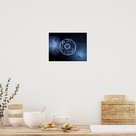 Microscopisch Uitzicht van dierlijke cellen 3 Poster (Keuken)