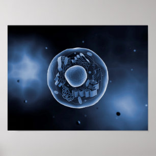 Microscopisch Uitzicht van dierlijke cellen 3 Poster