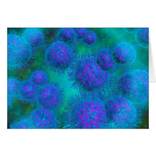 Microscopisch Uitzicht van diplococcus Bacterium