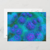 Microscopisch Uitzicht van diplococcus Bacterium Briefkaart (Voorkant / Achterkant)