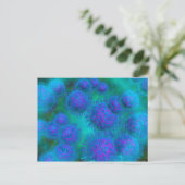 Microscopisch Uitzicht van diplococcus Bacterium Briefkaart (Staand voorkant)