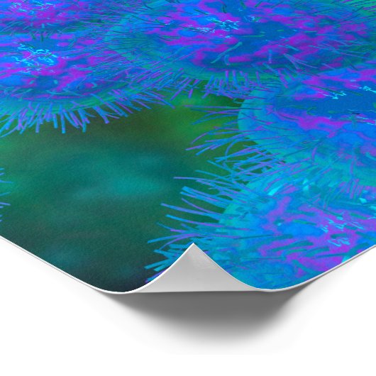 Microscopisch Uitzicht van diplococcus Bacterium Poster (Hoek)