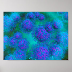 Microscopisch Uitzicht van diplococcus Bacterium Poster