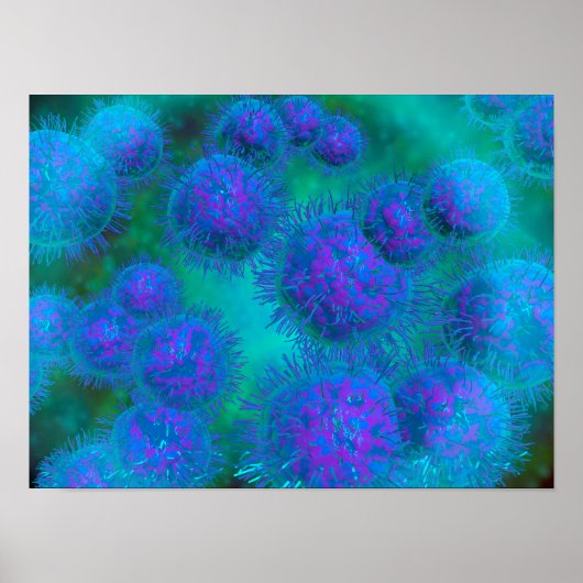 Microscopisch Uitzicht van diplococcus Bacterium Poster (Voorkant)