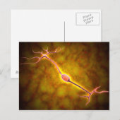 Microscopisch Uitzicht van een bipolaire neuron Briefkaart (Voorkant / Achterkant)