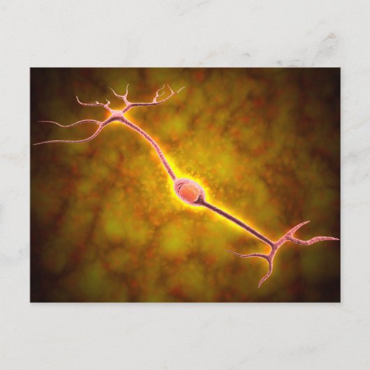 Microscopisch Uitzicht van een bipolaire neuron Briefkaart (Voorkant)